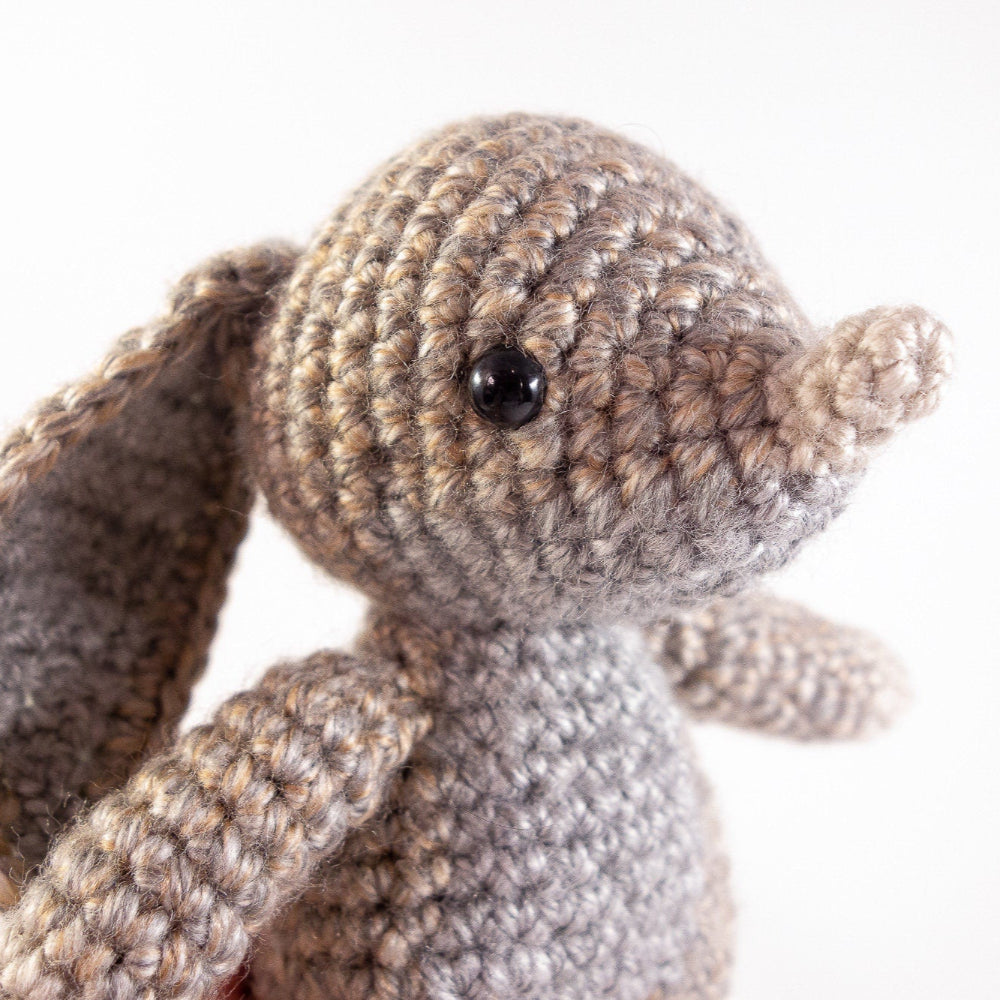 The Bilby