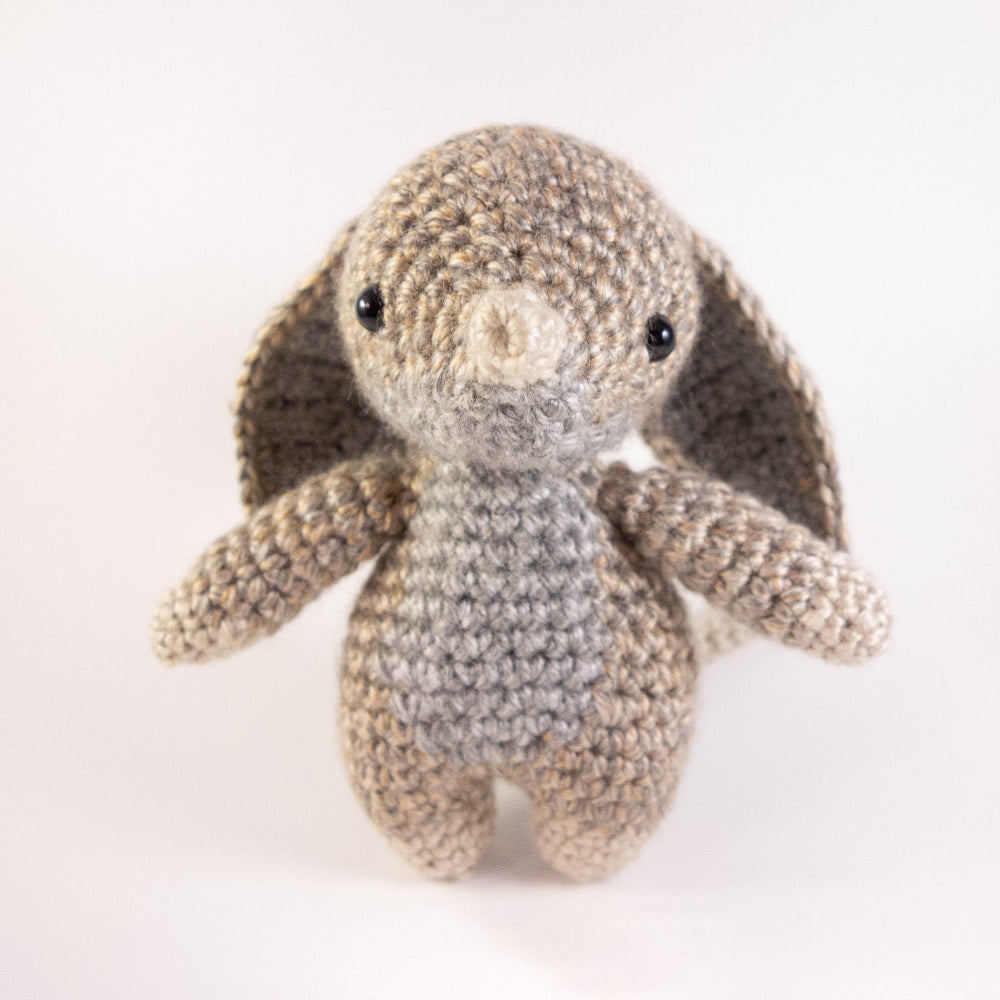The Bilby